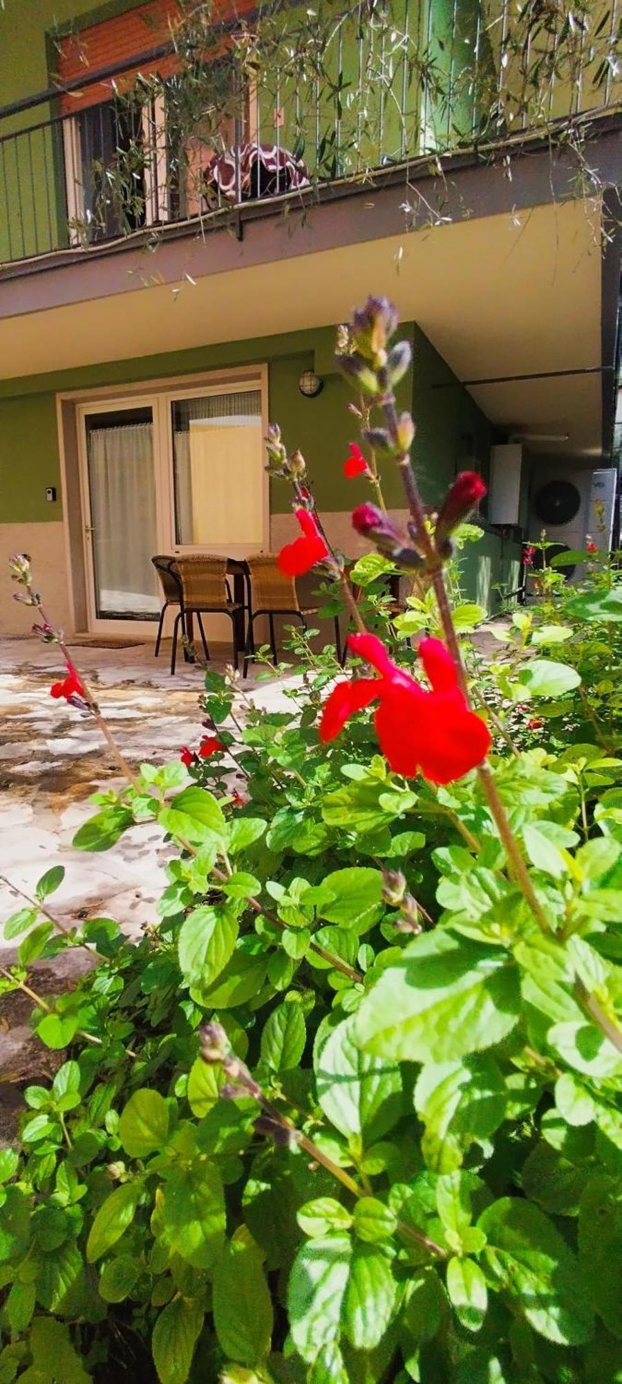 The Green House Malcesine Bagian luar foto